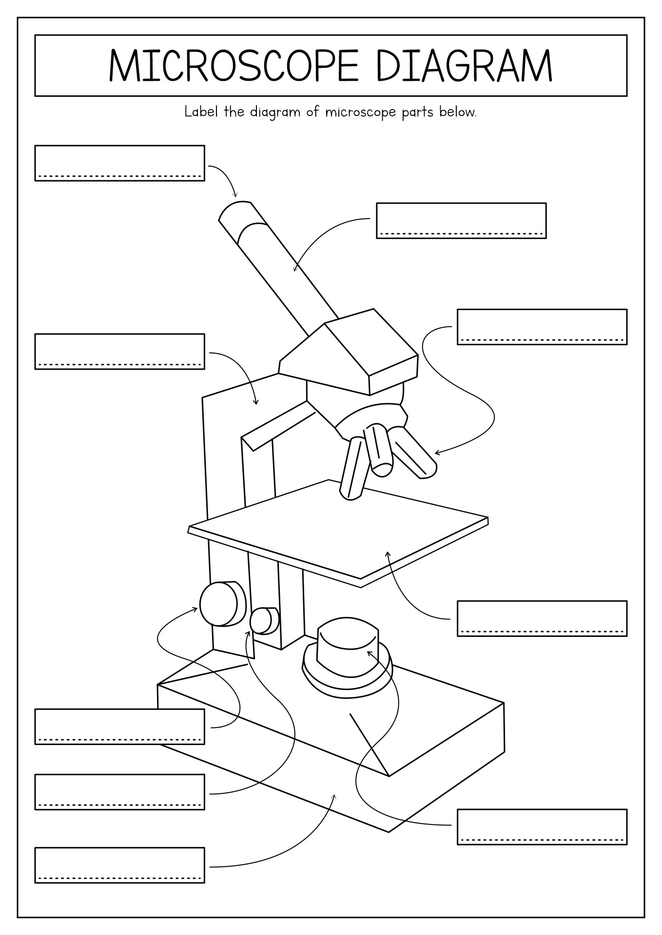 15 Printable Microscope Worksheet - Free PDF at worksheeto.com