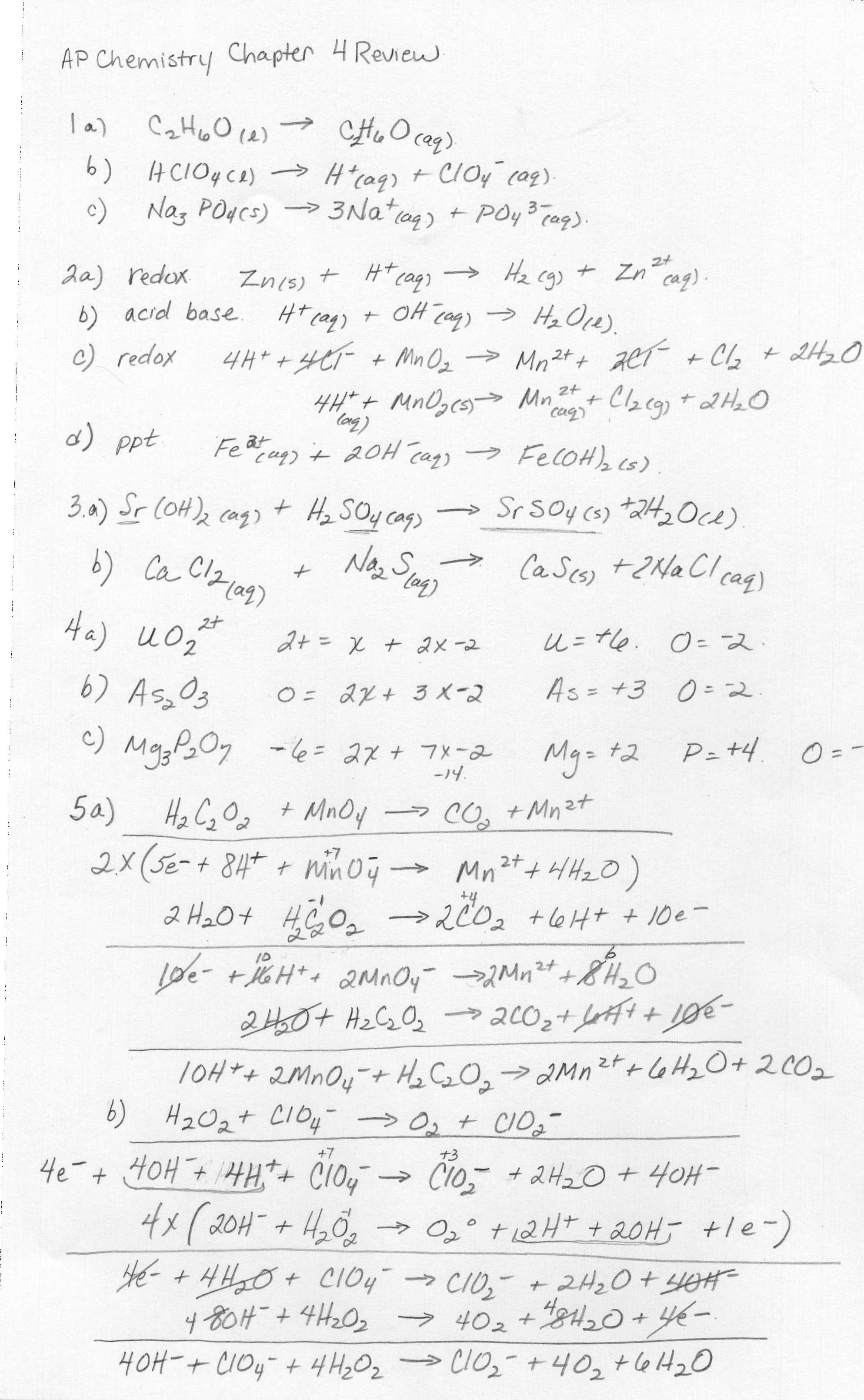 Protein Synthesis Review Worksheet Answer Key