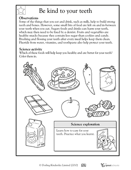 2nd Grade Science Worksheets