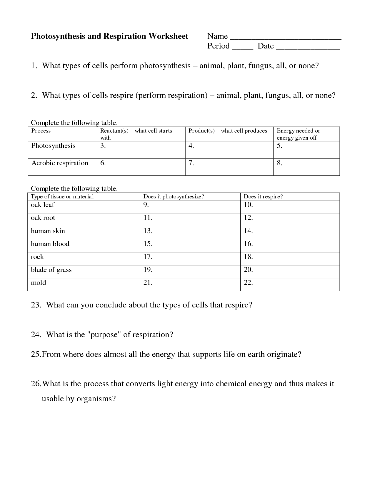 Cell Respiration and Photosynthesis Worksheet