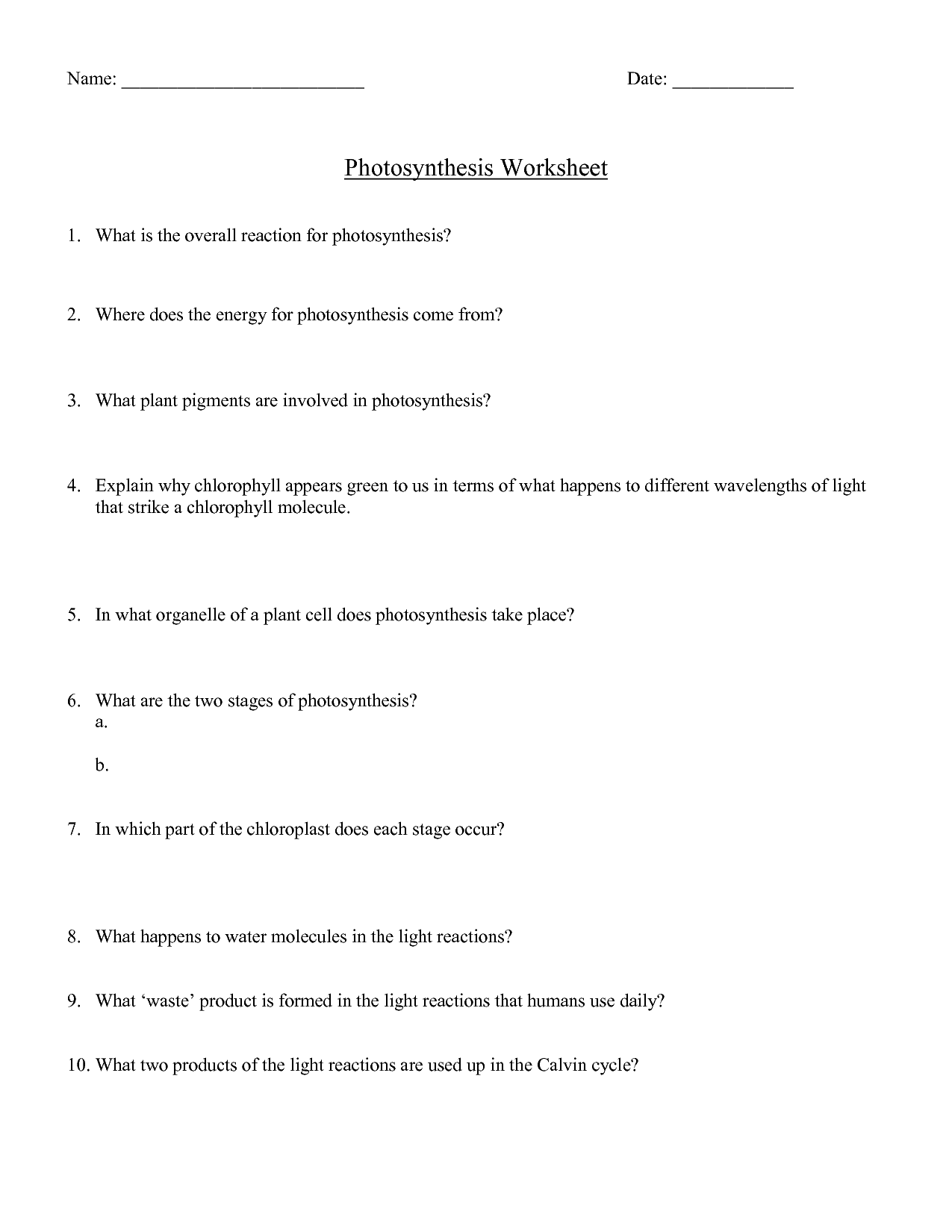 Photosynthesis Worksheets High School