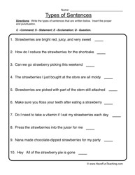 Types of Sentences Worksheets Grade 2