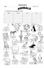 Animal Classification Worksheet