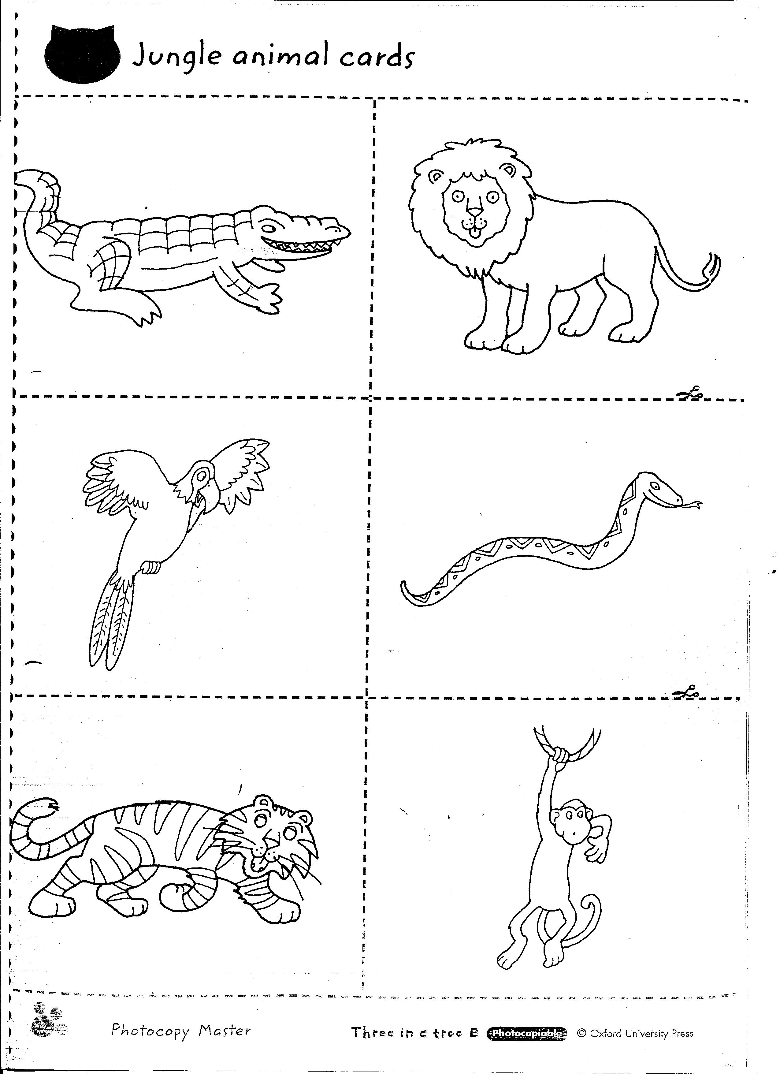 13 Jungle Animals Worksheets Printable Worksheeto