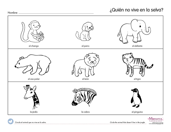 13 Jungle Animals Worksheets Printable Worksheeto