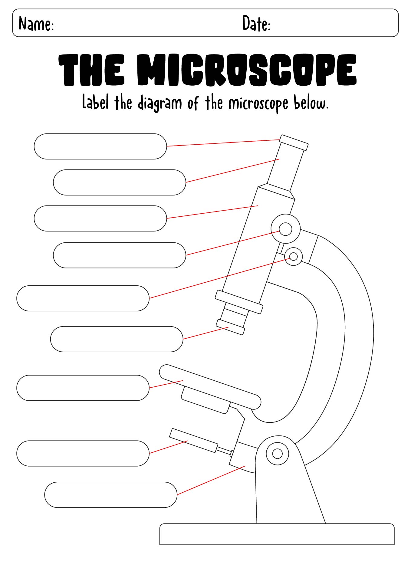 Microscope Labeling Worksheet Financial Report