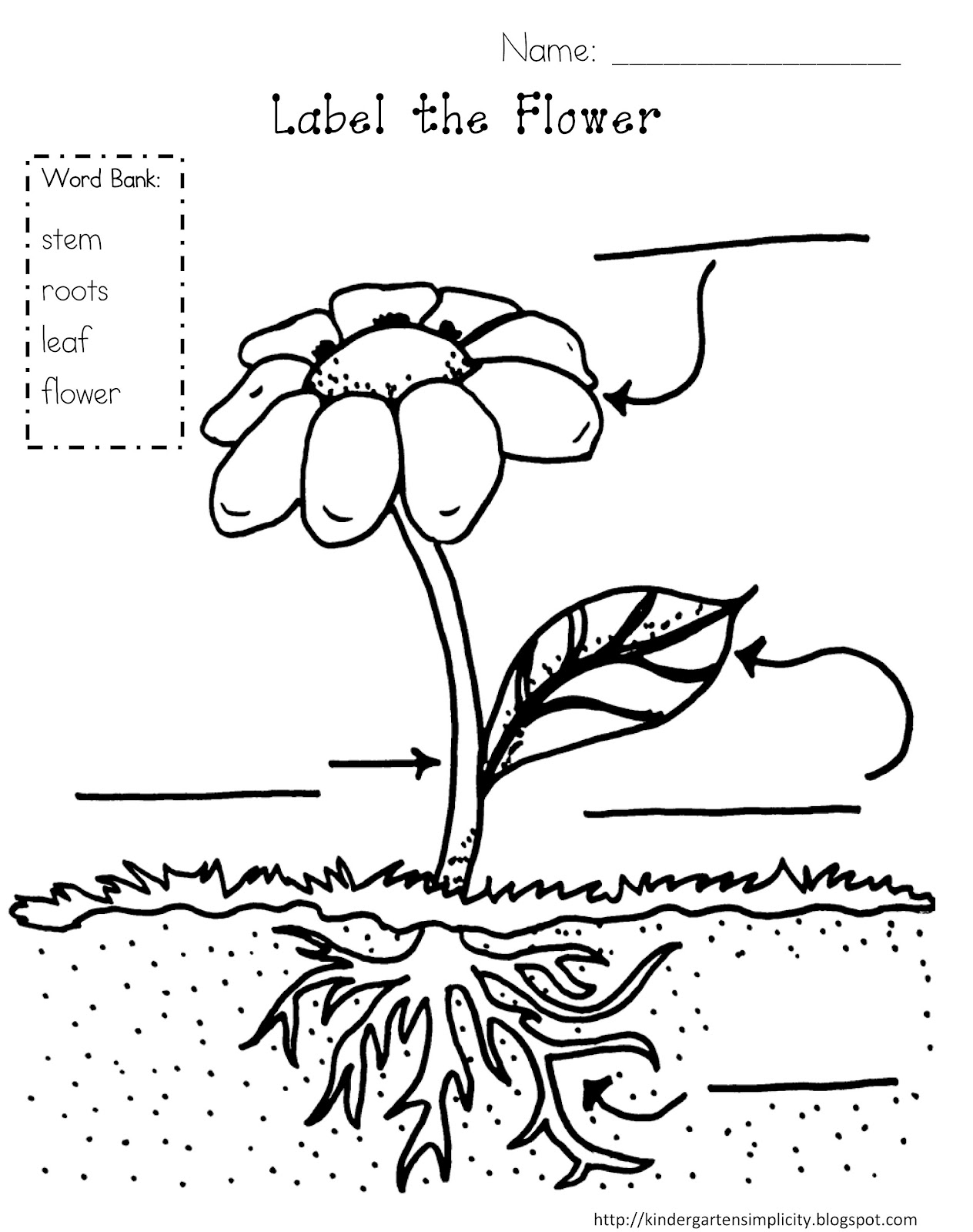 Label Plant Parts Printable