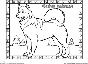 Alaska Animals Coloring Pages