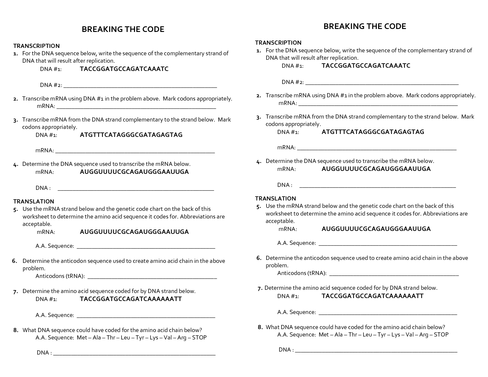 19 The Genetic Code Worksheet Answers Worksheeto