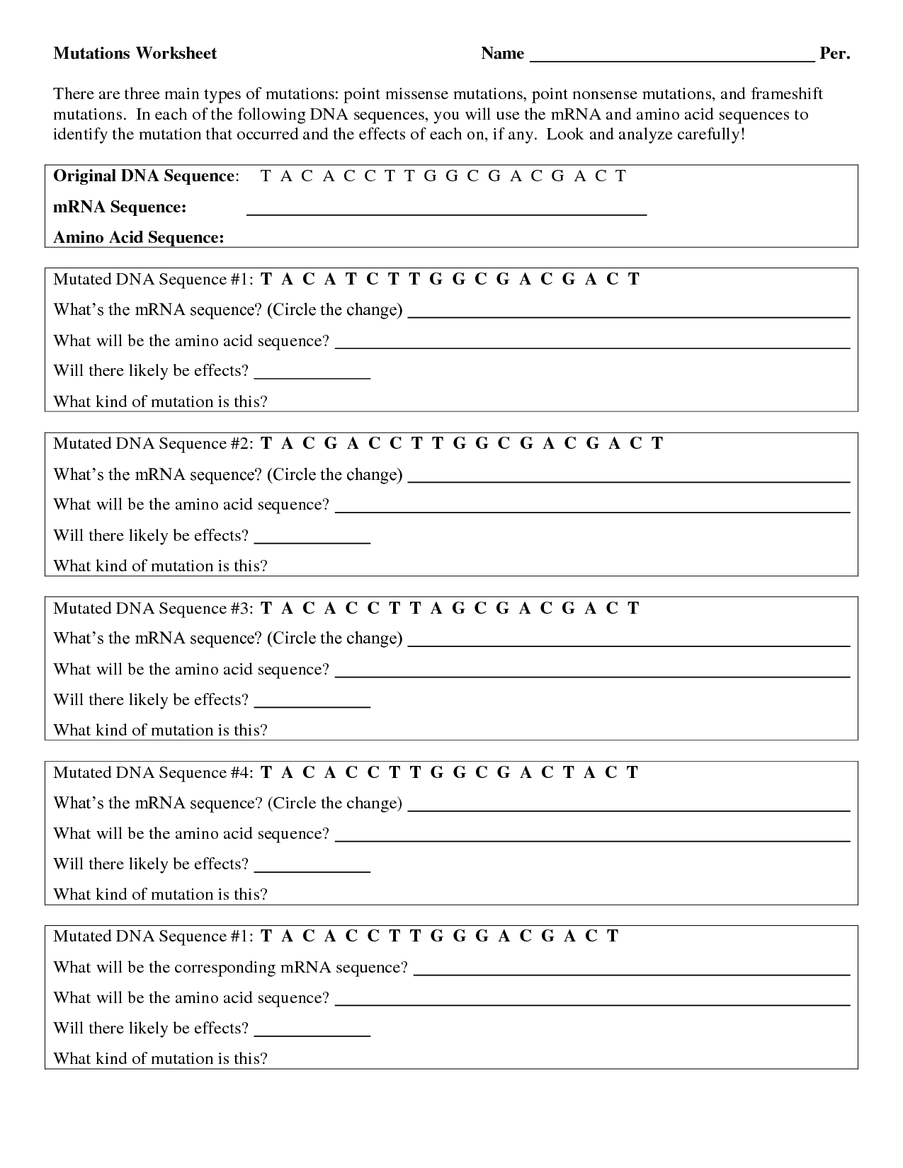 19 The Genetic Code Worksheet Answers Worksheeto