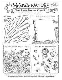 Nature Activities Worksheets