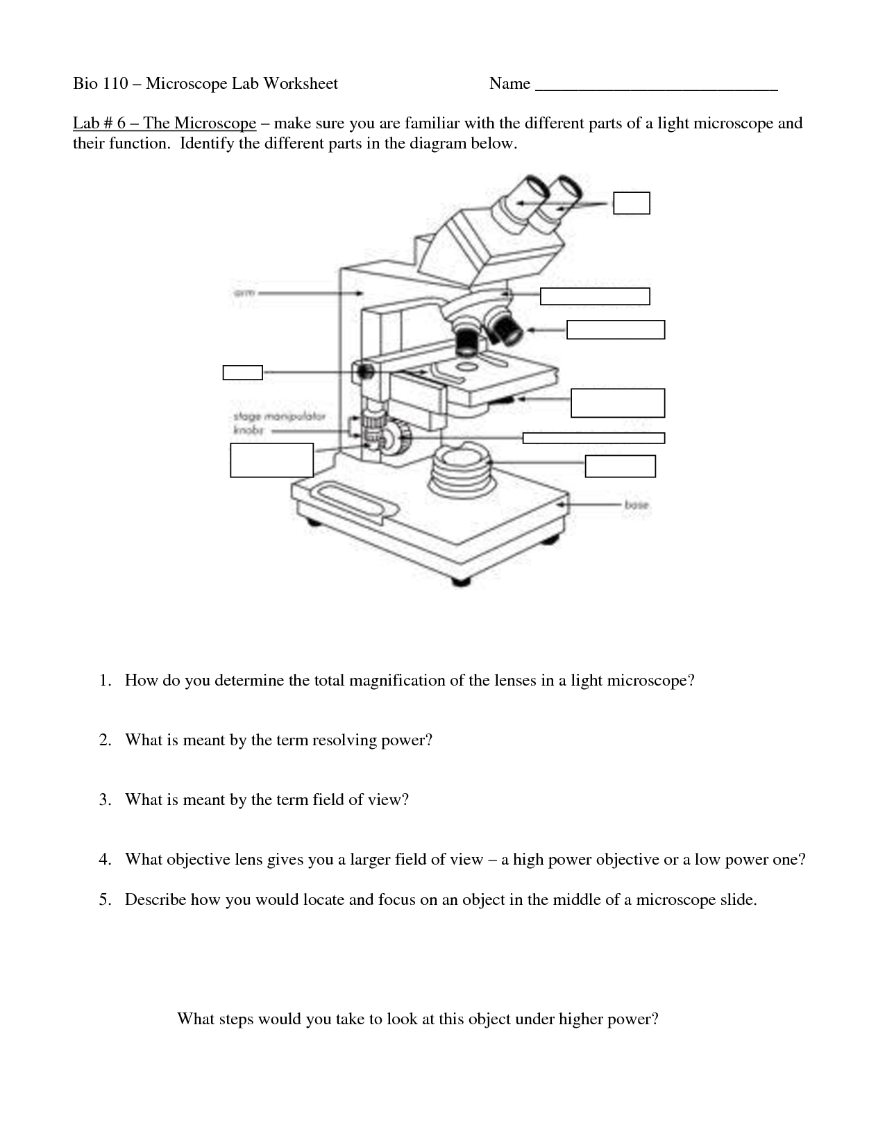 Compound Microscope Worksheet