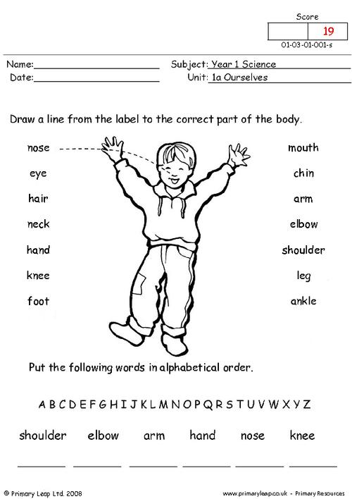 10-computer-labeling-worksheets-with-answers-worksheeto