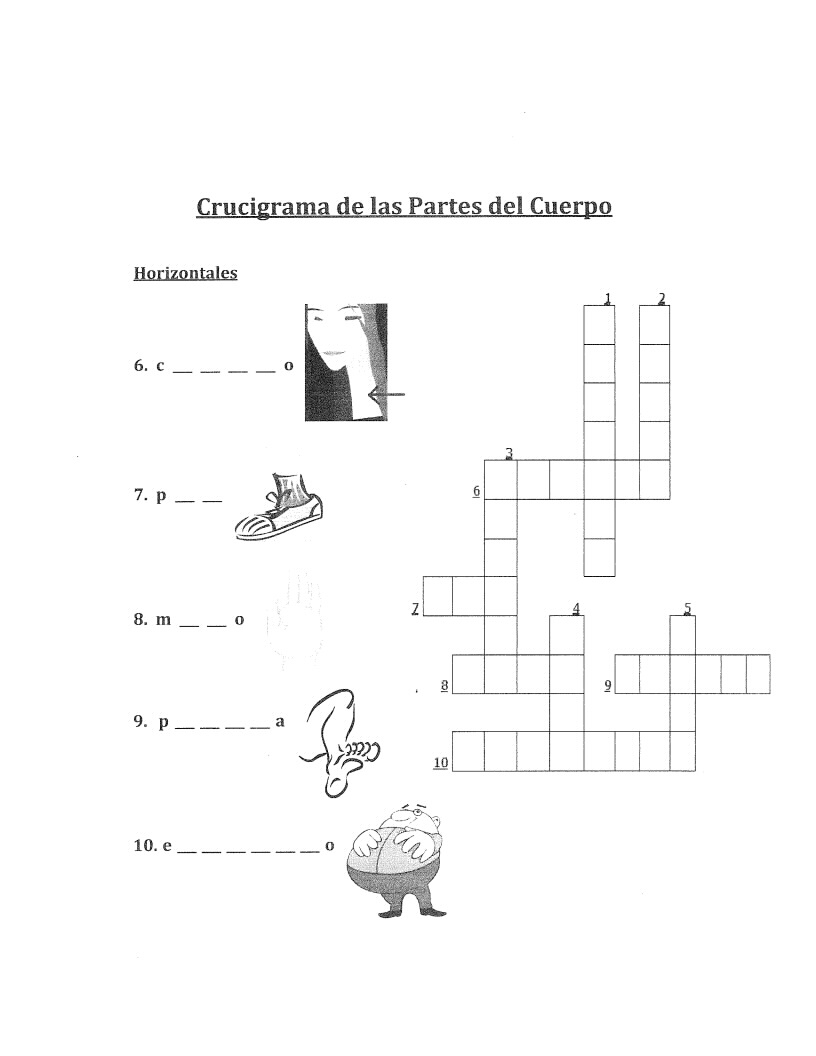 Crossword Puzzle of the Body Parts Worksheet Spanish