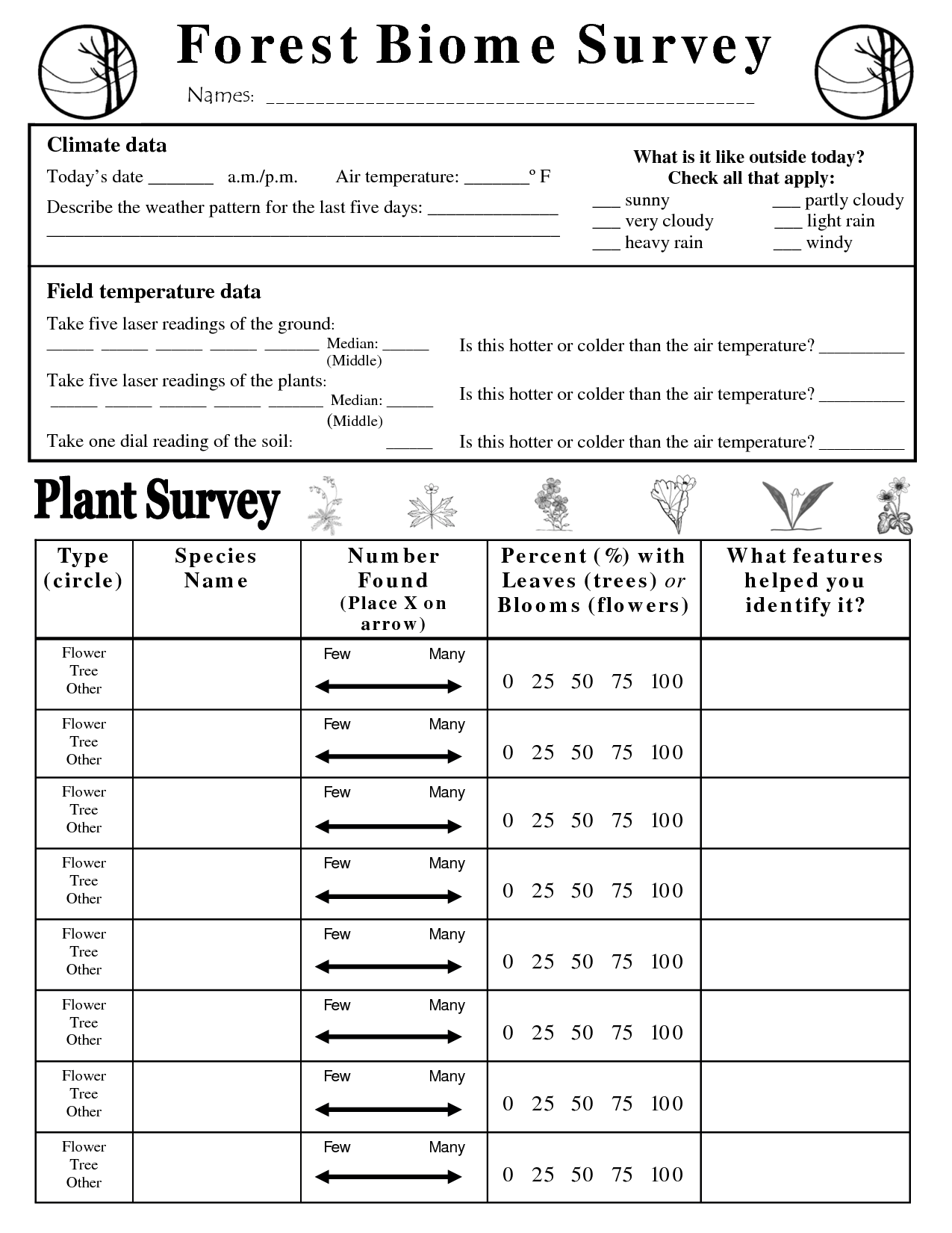 Forest Biome Worksheets