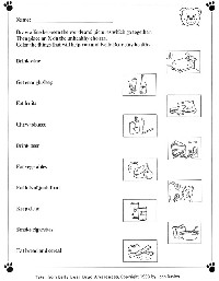 12 Best Images of Anatomy Human Ear Diagram Worksheet - Blank Ear ...