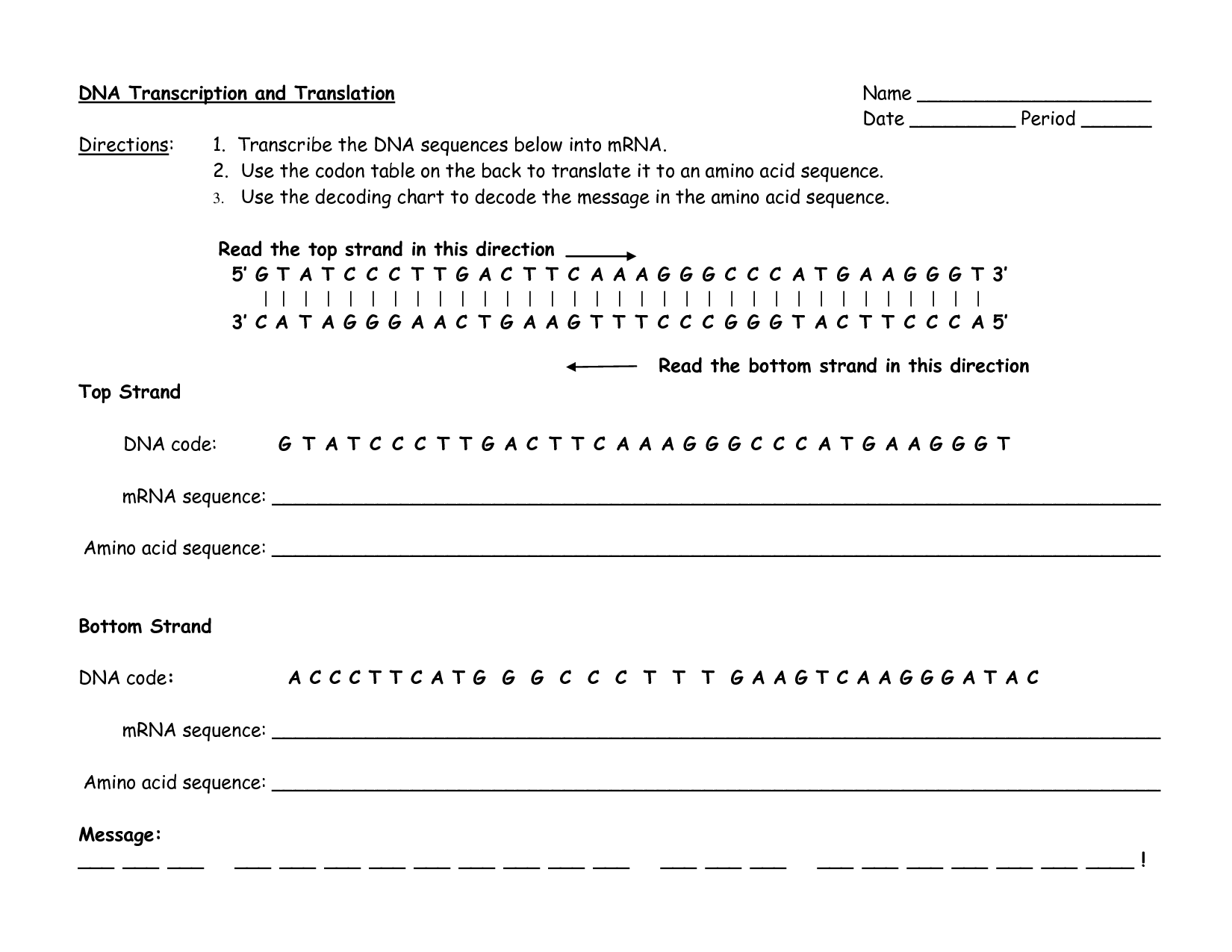 13 Decoding DNA Worksheet Worksheeto