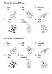 Animal Identification Worksheets