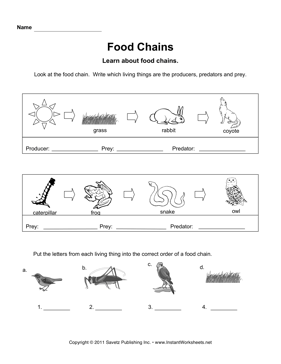 9 Best Images of Food Chain Worksheets For Kindergarten - Food Chain ...