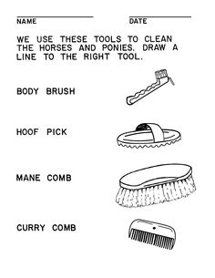 Horse Grooming Tools Worksheet