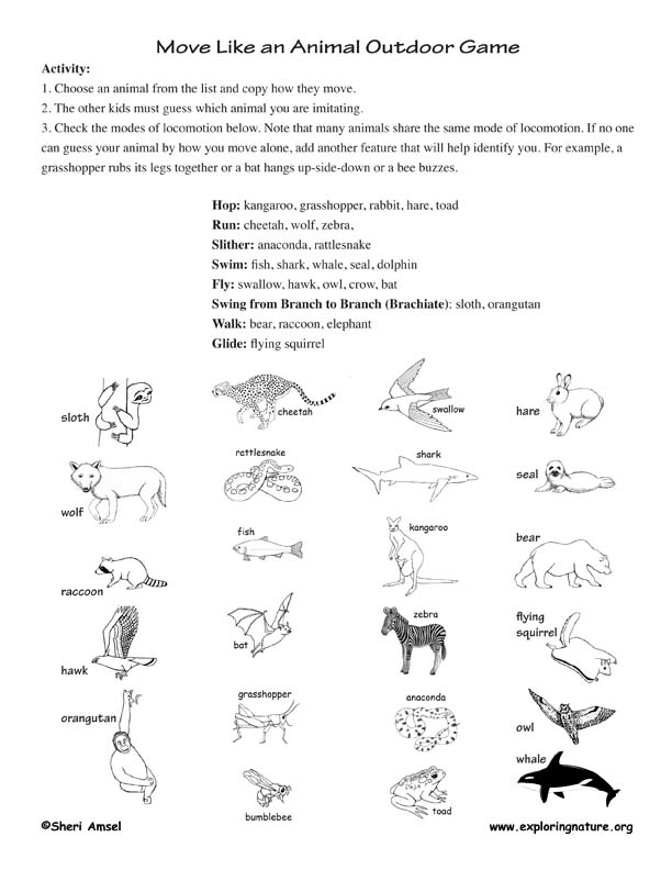 How Do Animals Move Worksheet