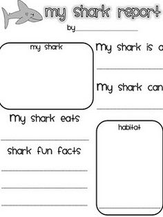 Whale Shark Graphic Organizer