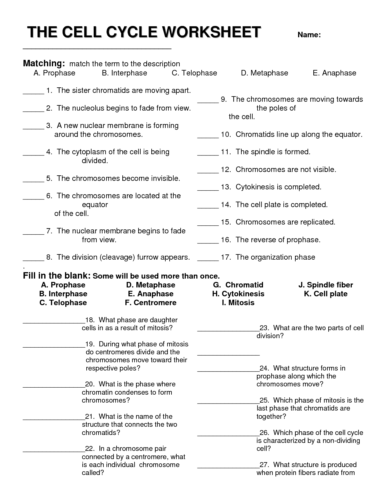 Cell Cycle Worksheet Answer Key