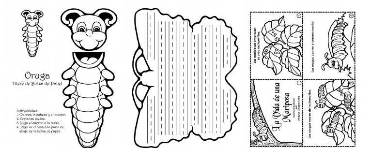 Life Cycle of Butterfly Worksheet for Spanish