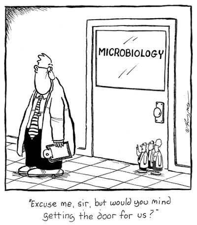 Mitosis and Meiosis Venn Diagram Answers