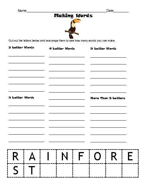 Rainforest Worksheets First Grade