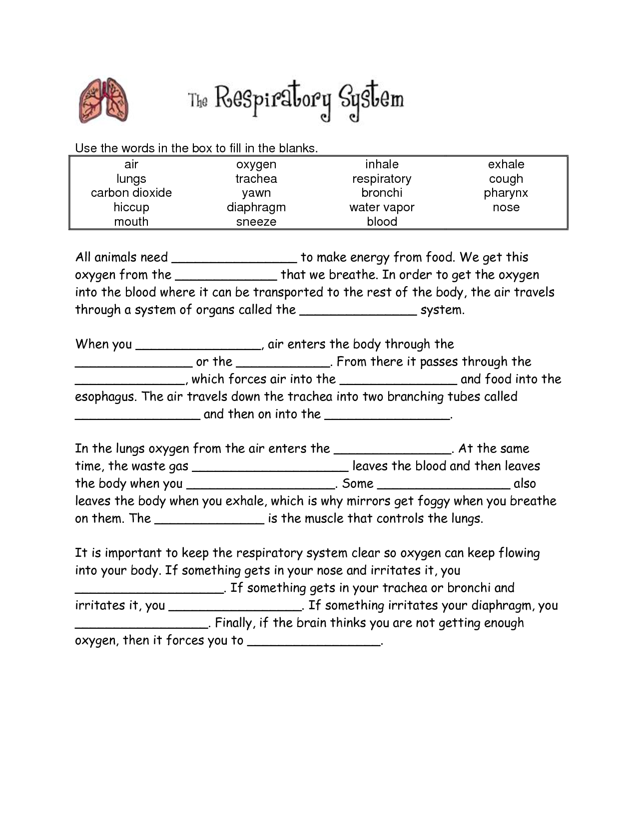 The Respiratory System Fill in Blanks Worksheet Answers