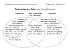 Venn Diagram Comparing Prokaryotic and Eukaryotic Cells