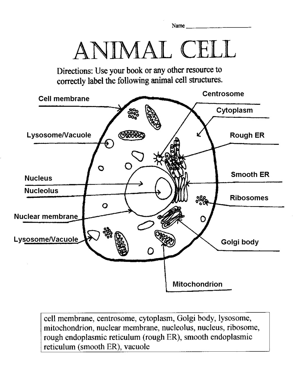 14 Parts Of Plant Functions Worksheet Worksheeto