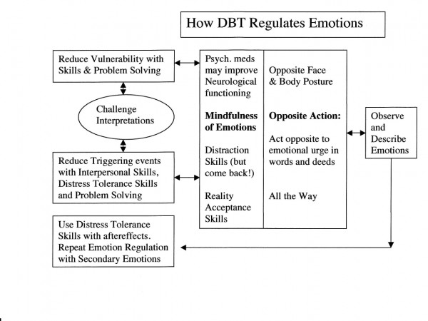 DBT Emotion Regulation Worksheet