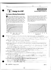 Factors Affecting Photosynthesis Worksheet