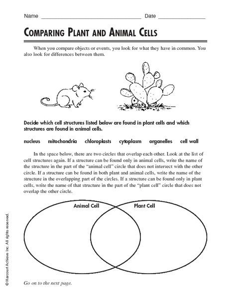 Plant and Animal Cell Worksheets 5th Grade