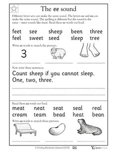 Ee EA Phonics Worksheets