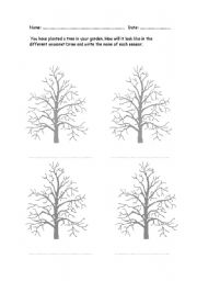 Four Seasons Tree Worksheet