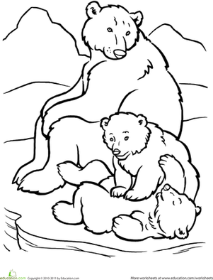 Polar Bear Cubs Coloring Pages