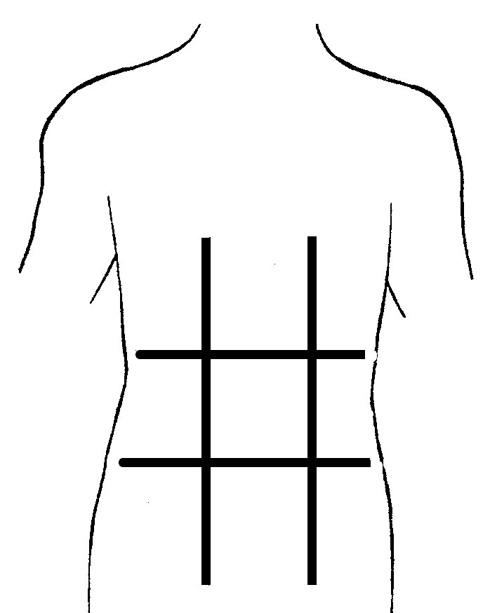 Abdominal Regions Diagram Blank