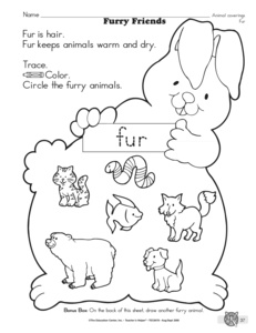 Animal Coverings Worksheets for Kindergarten