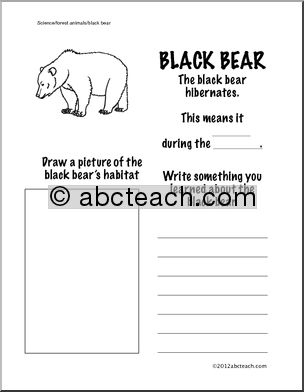 Animal Science Worksheet First Grade