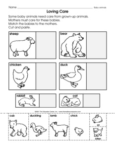 Animals and Their Offspring Worksheet