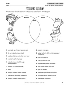 Classifying Plants and Animals Worksheets