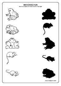 Kindergarten Shadow Worksheets