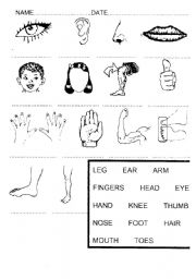 Name Body Parts Worksheet