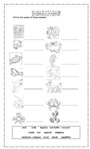 Printable Animal Habitat Worksheets First Grade