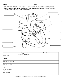 11 Best Images of Healthy Boundaries Worksheet - Healthy Relationship ...