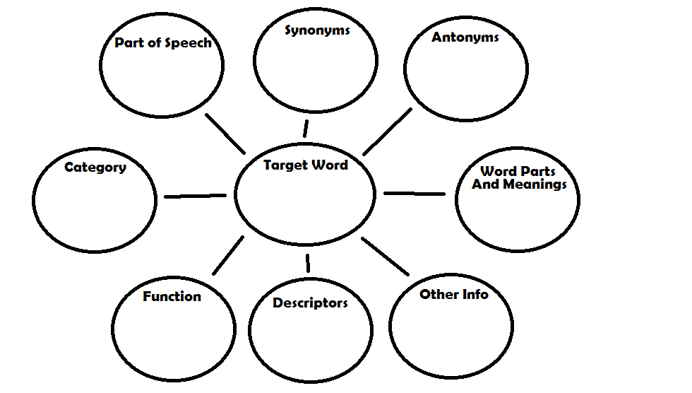 Vocabulary Word Web