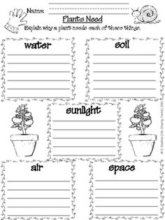 What Does Need to Grow a Plant Worksheet